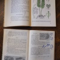 Vintage school books | Kasvioppi | Finnish nature books | Vintage botany school books | Vintage nature school books