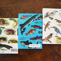 Vintage books | Scandinavian animal, bird and fish books | Illustrated bird, animal and fish books | Vintage illustrations | Finnish books