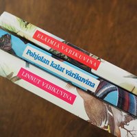 Vintage books | Scandinavian animal, bird and fish books | Illustrated bird, animal and fish books | Vintage illustrations | Finnish books