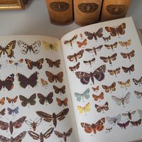 Vintage encyclopedia set | Pieni Tietosanakirja | Finnish encyclopedia set | Vintage Finnish encyclopedia | Vintage books | Finnish books