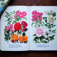 Vintage flower and plant book set | Finnish flower books | Vintage botanical books | Illustrated flower books | Vintage floral illustrations