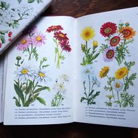 Vintage flower and plant book set | Finnish flower books | Vintage botanical books | Illustrated flower books | Vintage floral illustrations