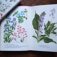 Vintage flower and plant book set | Finnish flower books | Vintage botanical books | Illustrated flower books | Vintage floral illustrations