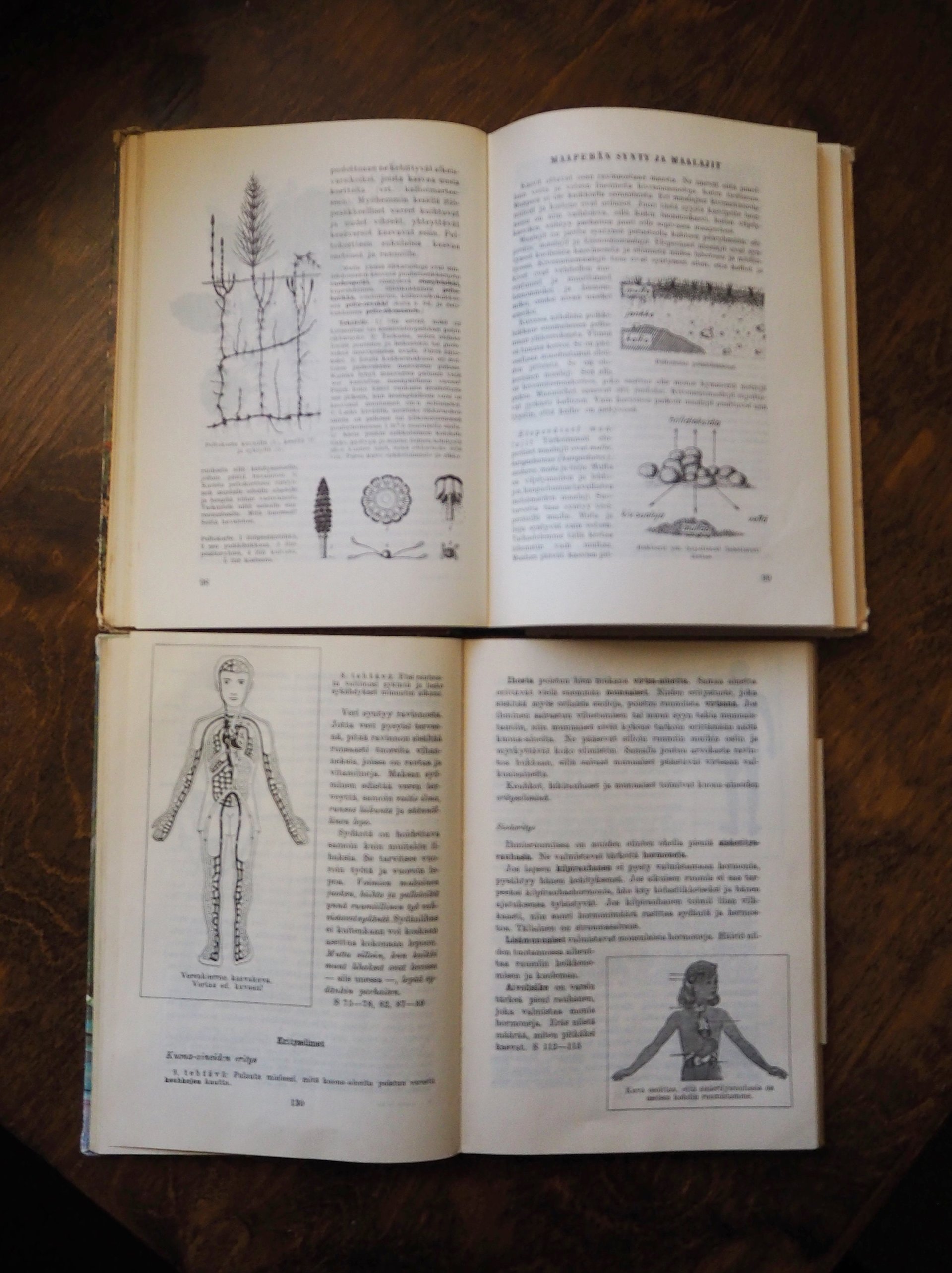 Vintage school books | Kasvioppi | Finnish nature books | Vintage botany school books | Vintage nature school books