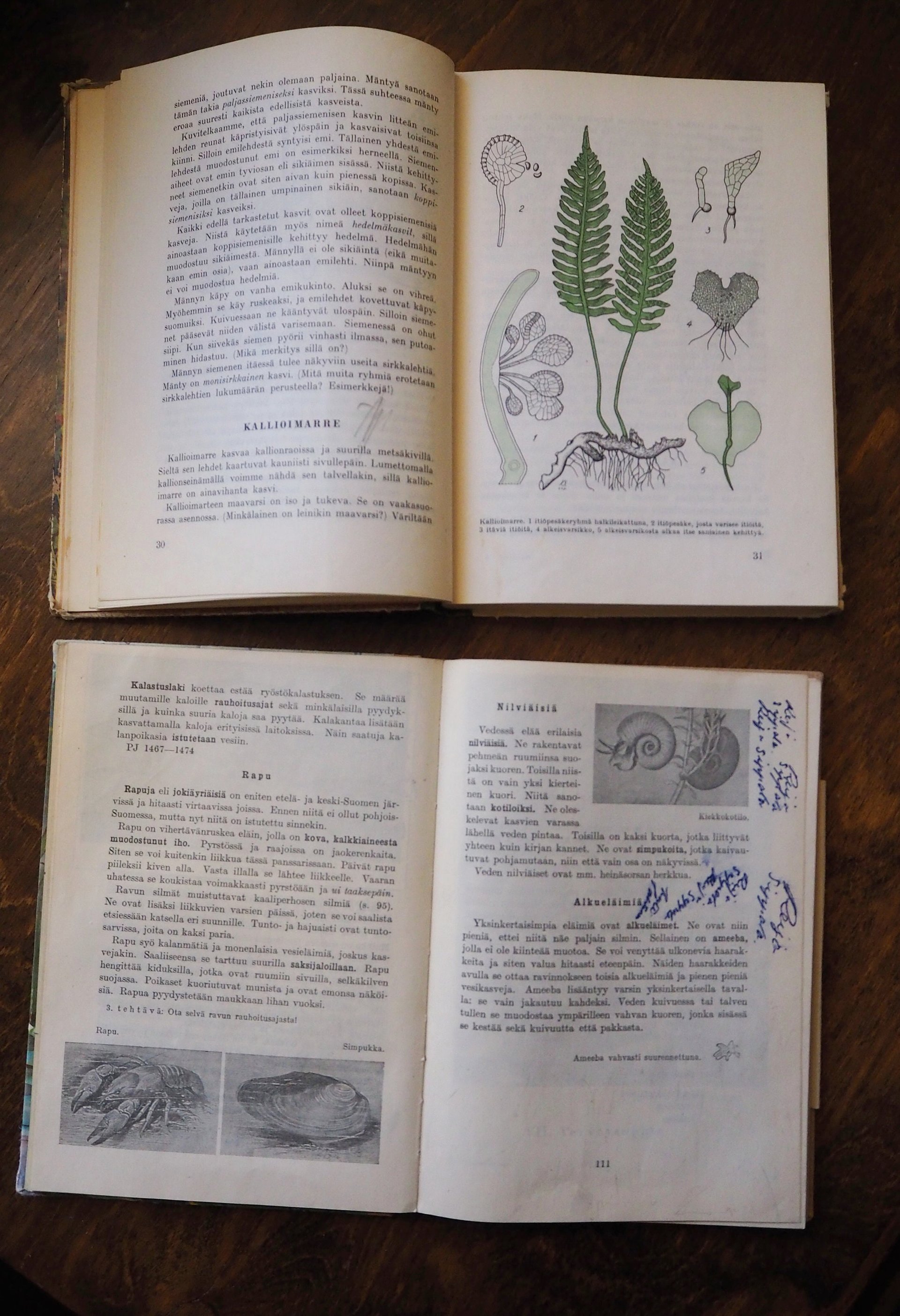 Vintage school books | Kasvioppi | Finnish nature books | Vintage botany school books | Vintage nature school books