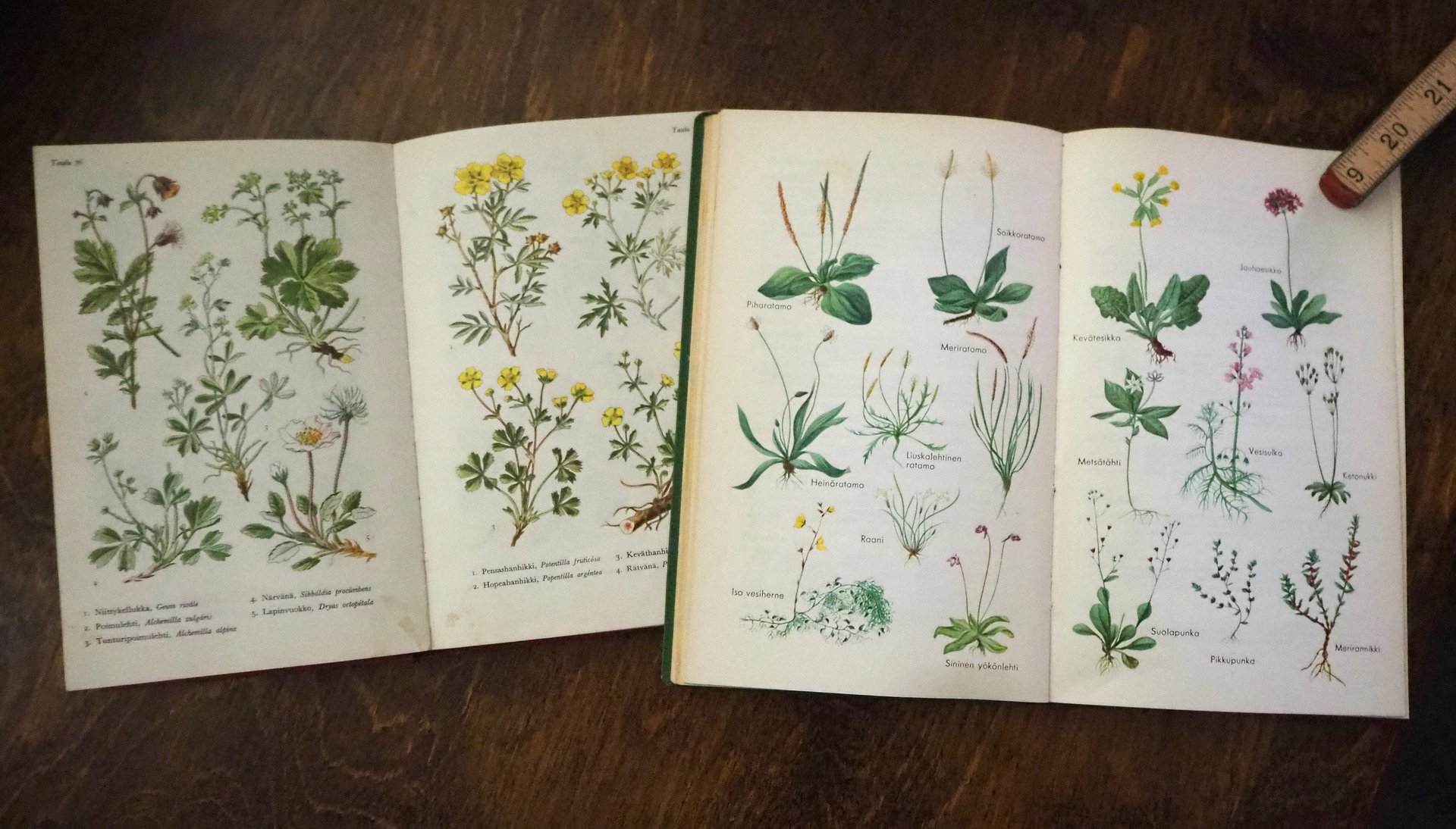 Vintage flower book set | Finnish flower books | Vintage botanical books | Illustrated flower books | Vintage floral illustrations