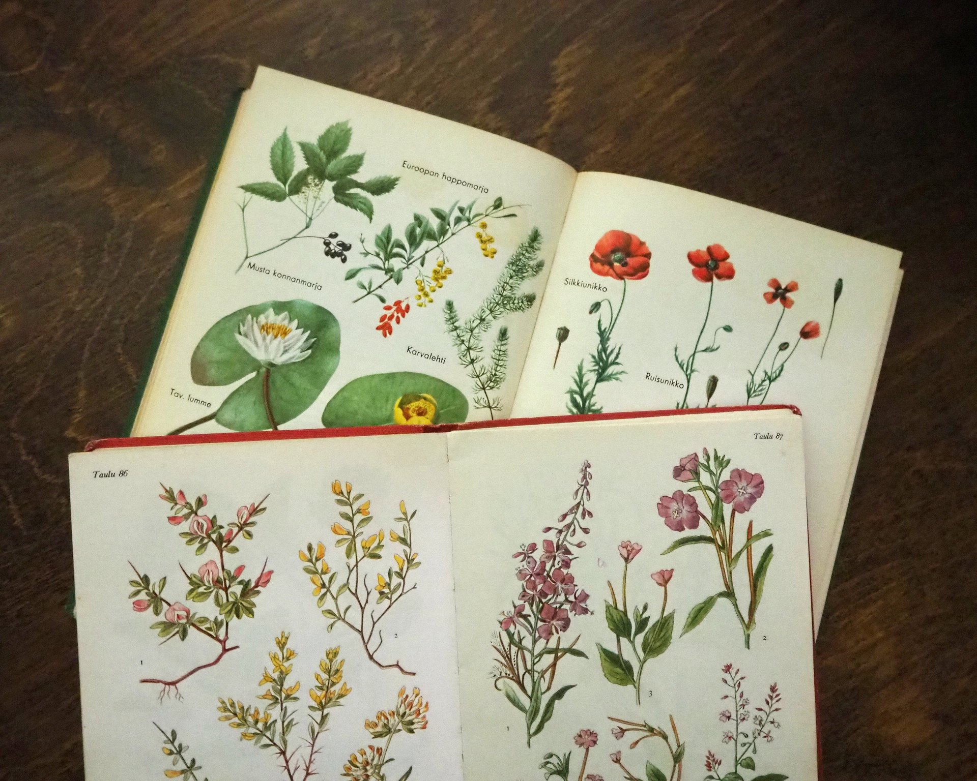 Vintage flower book set | Finnish flower books | Vintage botanical books | Illustrated flower books | Vintage floral illustrations