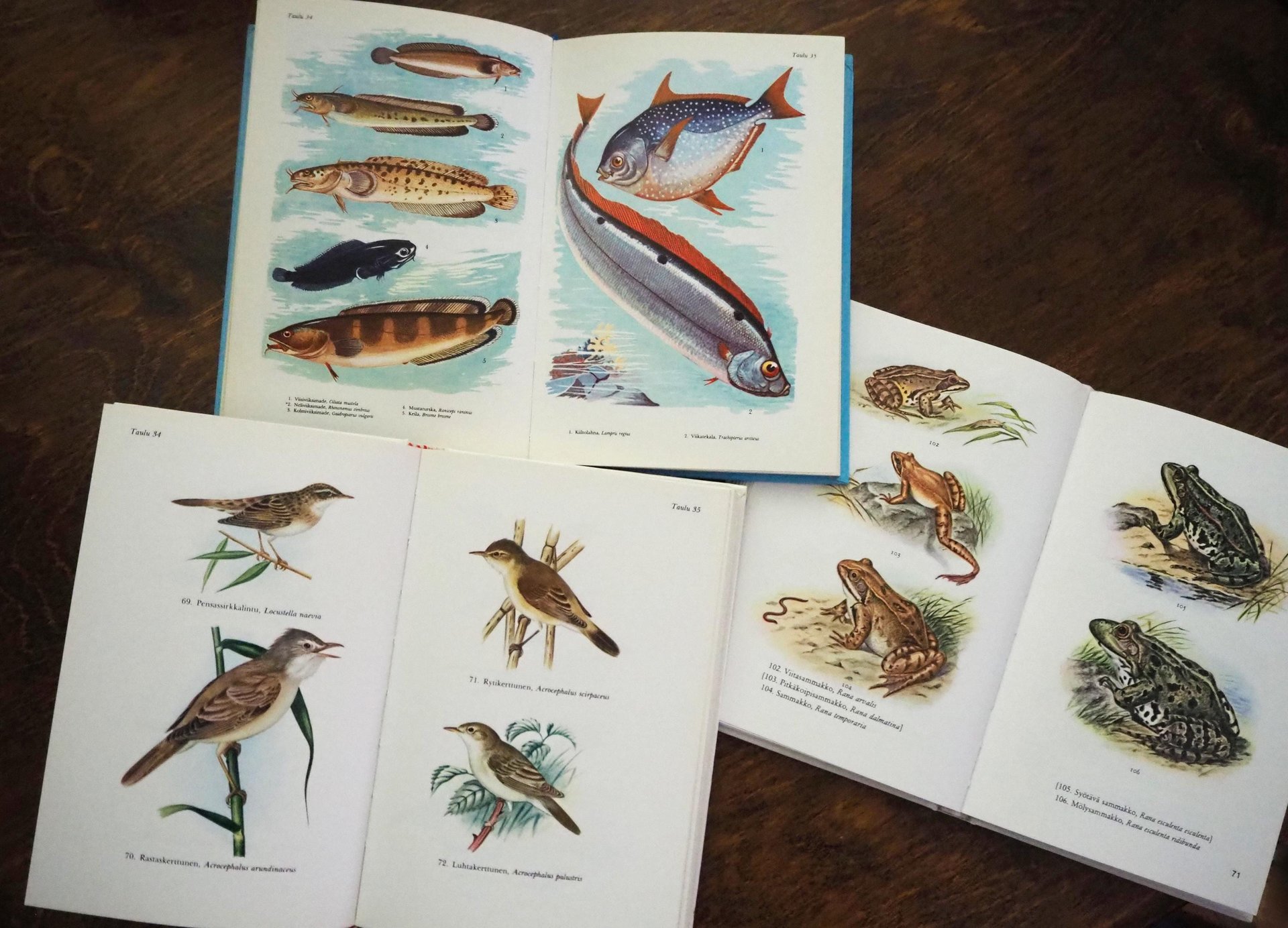 Vintage books | Scandinavian animal, bird and fish books | Illustrated bird, animal and fish books | Vintage illustrations | Finnish books