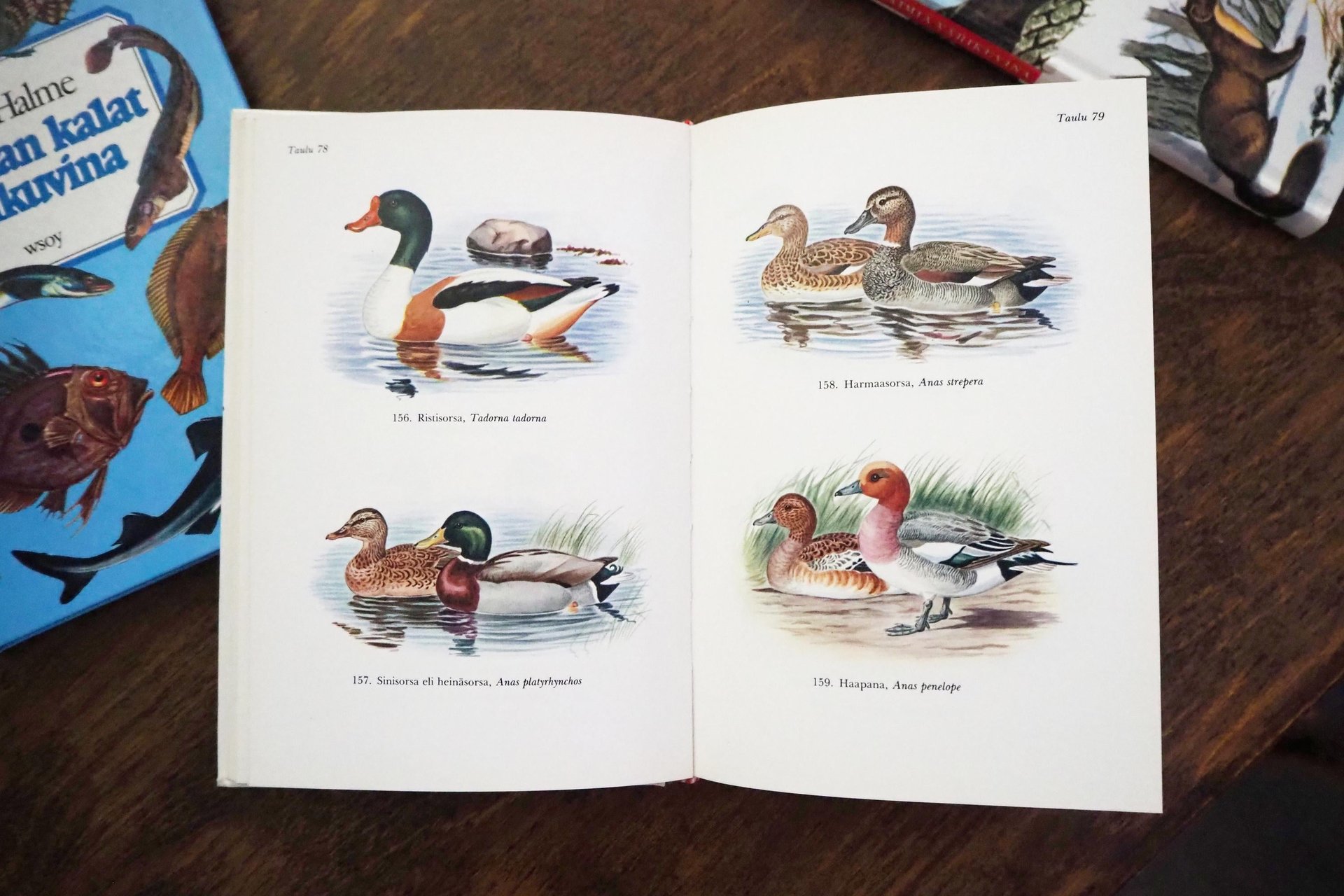 Vintage books | Scandinavian animal, bird and fish books | Illustrated bird, animal and fish books | Vintage illustrations | Finnish books