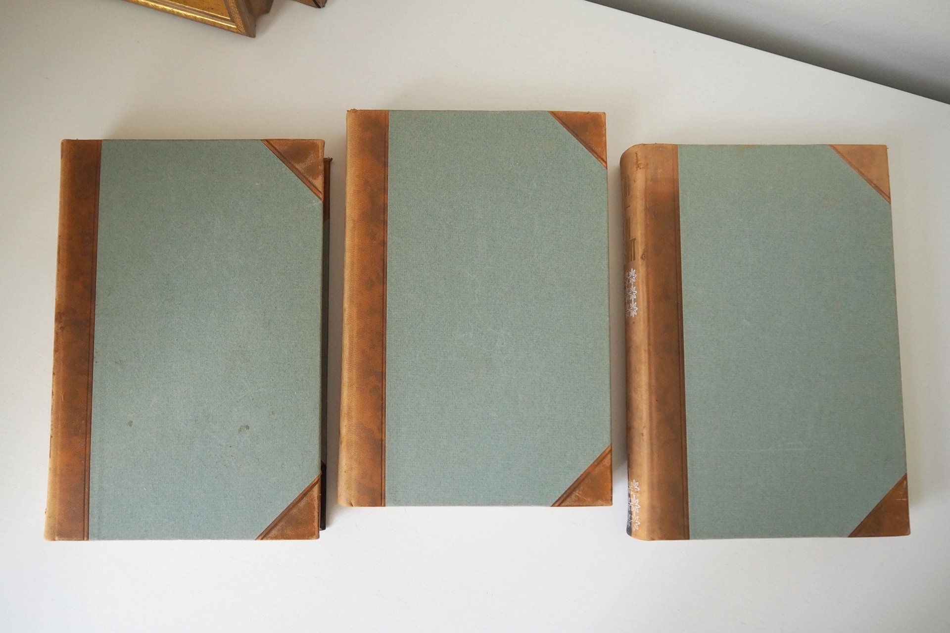 Vintage botanical book set | Pohjolan kasvit – Nordens Flora | Finnish flower book set | Illustrated botanical books | Vintage illustrations