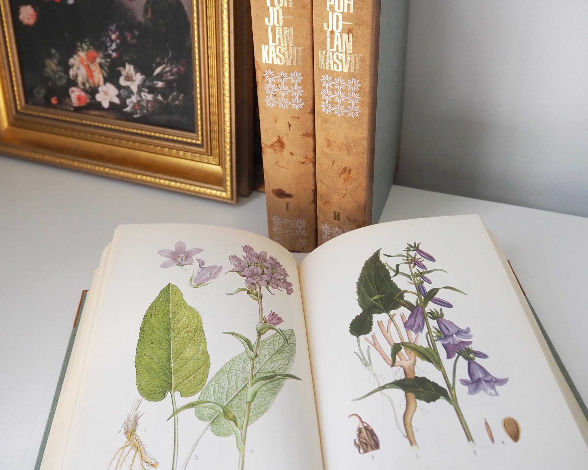 Vintage botanical book set | Pohjolan kasvit – Nordens Flora | Finnish flower book set | Illustrated botanical books | Vintage illustrations