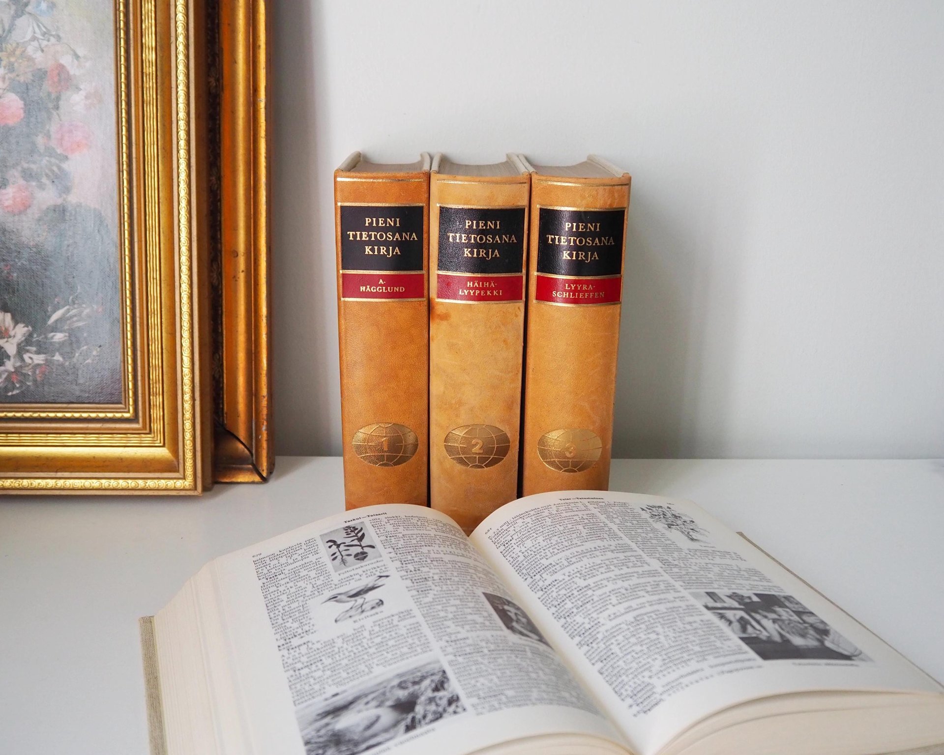 Vintage encyclopedia set | Pieni Tietosanakirja | Finnish encyclopedia set | Vintage Finnish encyclopedia | Vintage books | Finnish books