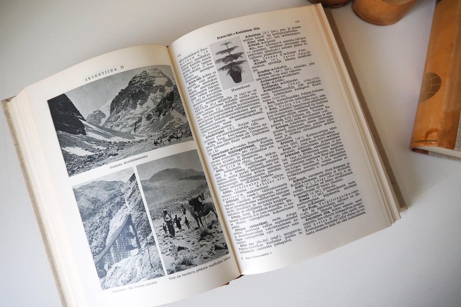 Vintage encyclopedia set | Pieni Tietosanakirja | Finnish encyclopedia set | Vintage Finnish encyclopedia | Vintage books | Finnish books