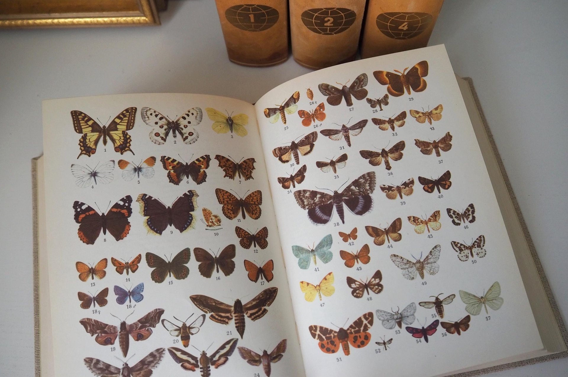 Vintage encyclopedia set | Pieni Tietosanakirja | Finnish encyclopedia set | Vintage Finnish encyclopedia | Vintage books | Finnish books