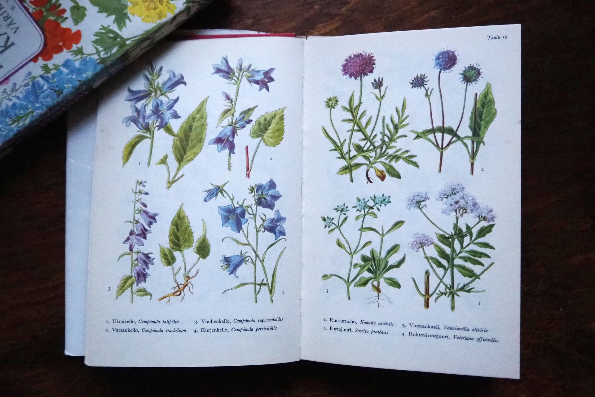 Vintage flower and plant book set | Finnish flower books | Vintage botanical books | Illustrated flower books | Vintage floral illustrations