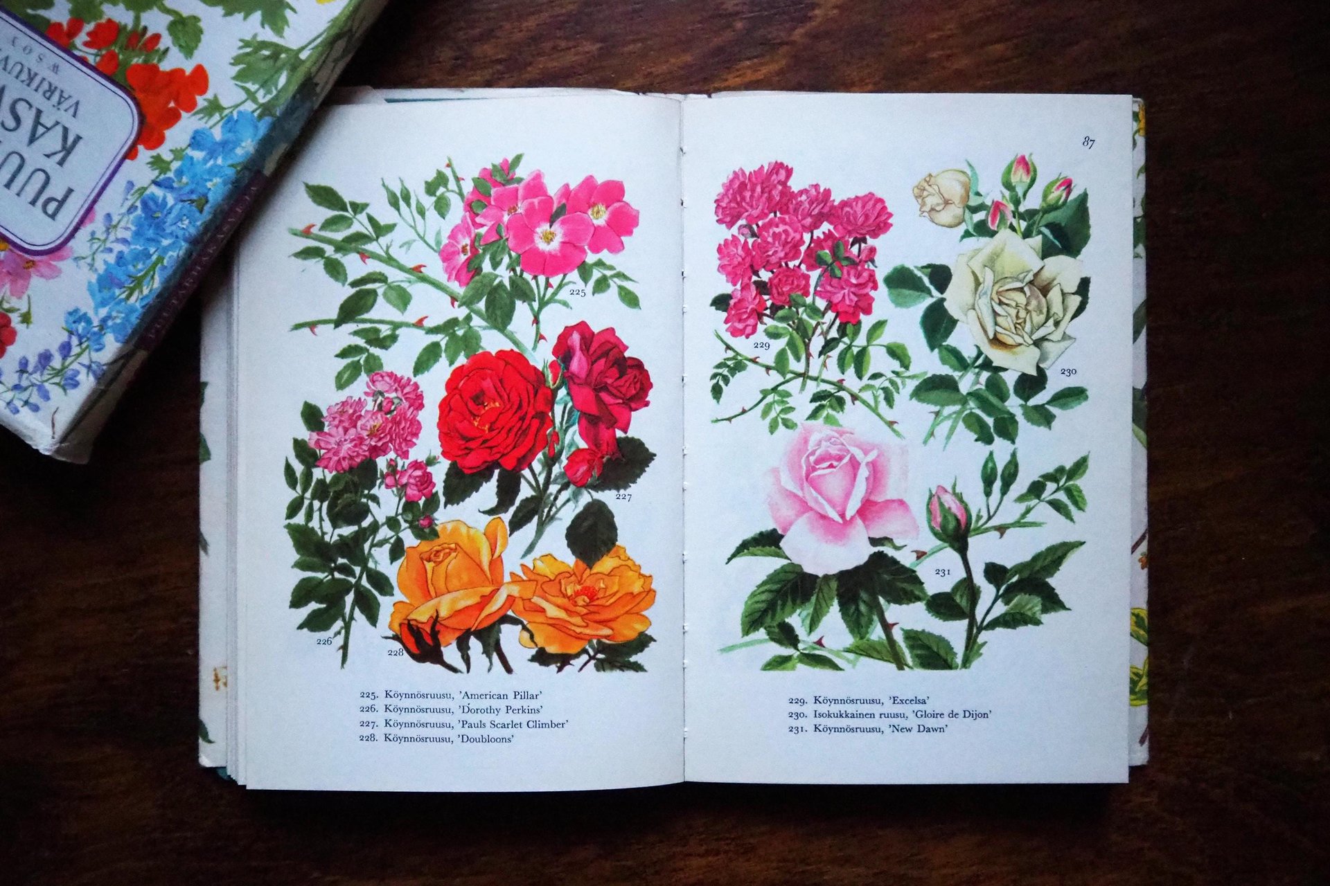 Vintage flower and plant book set | Finnish flower books | Vintage botanical books | Illustrated flower books | Vintage floral illustrations