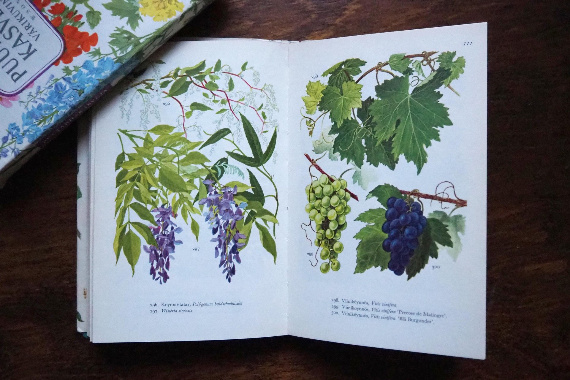 Vintage flower and plant book set | Finnish flower books | Vintage botanical books | Illustrated flower books | Vintage floral illustrations