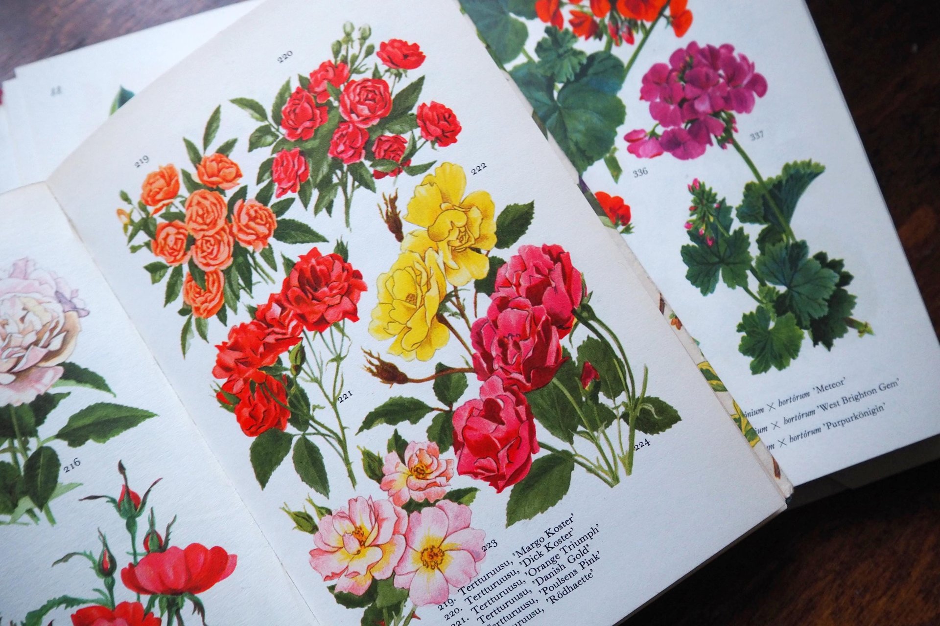 Vintage flower and plant book set | Finnish flower books | Vintage botanical books | Illustrated flower books | Vintage floral illustrations
