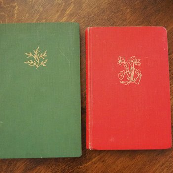 Vintage flower book set | Finnish flower books | Vintage botanical books | Illustrated flower books | Vintage floral illustrations