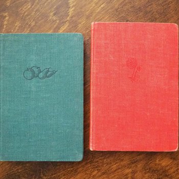 Vintage flower and plant book set | Swedish flower books | Vintage botanical books | Illustrated flower books | Vintage floral illustrations